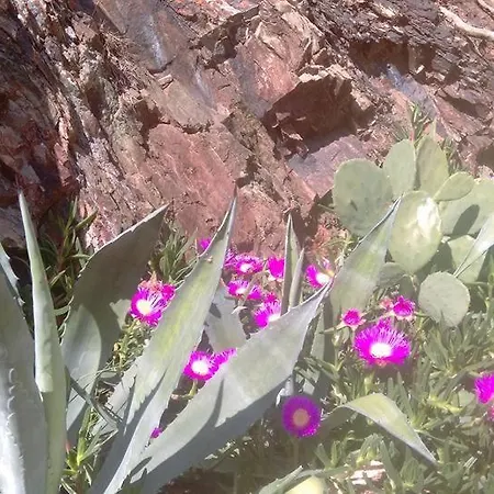 בית נופש Capcerbere